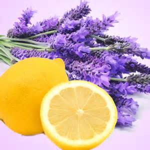lemon lavender