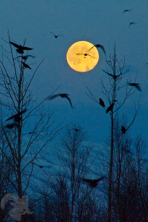 D0E5AC0C-70ED-4BEB-9344-6EFD58E201A4